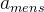 Normalised accelerometer measurement vector