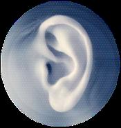 Close-up of the sensor's ear-shaped acoustic resonance cavity
