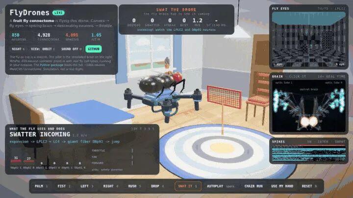 FlyDrones 3D bedroom simulation with a quadcopter driven by MiniFly spiking neuron output