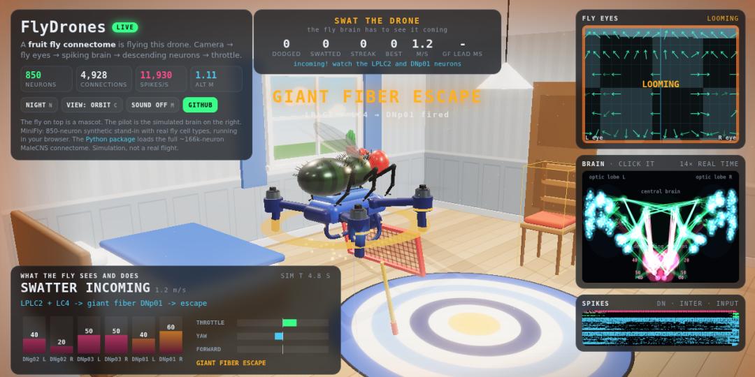 FlyDrones browser demo status bar reading 850 neurons and 4,928 connections during the swatting game